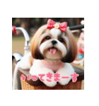 普段使えるかわいいシーズー犬（個別スタンプ：19）