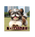 普段使えるかわいいシーズー犬（個別スタンプ：22）