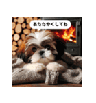 普段使えるかわいいシーズー犬（個別スタンプ：30）