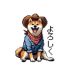 ドット絵 カウボーイ 柴犬 シバイヌ（個別スタンプ：7）