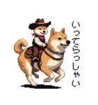 ドット絵 カウボーイ 柴犬 シバイヌ（個別スタンプ：34）