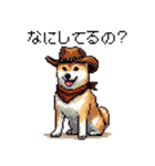 ドット絵 カウボーイ 柴犬 シバイヌ（個別スタンプ：39）