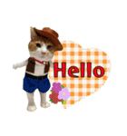 うちの寅次郎 とらちゃんの日常会話（個別スタンプ：3）
