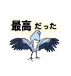 一年中使える、推し鳥達の推し活スタンプ（個別スタンプ：3）