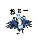 一年中使える、推し鳥達の推し活スタンプ（個別スタンプ：9）