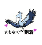 一年中使える、推し鳥達の推し活スタンプ（個別スタンプ：12）