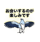 一年中使える、推し鳥達の推し活スタンプ（個別スタンプ：17）