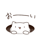 毎日を生きるねこ（個別スタンプ：9）