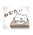 毎日を生きるねこ（個別スタンプ：13）