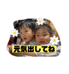 nara family7（個別スタンプ：3）