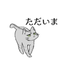 愛猫スタンプのプレゼント（個別スタンプ：3）