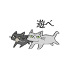 愛猫スタンプのプレゼント（個別スタンプ：5）