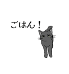 愛猫スタンプのプレゼント（個別スタンプ：10）