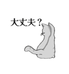 愛猫スタンプのプレゼント（個別スタンプ：11）
