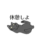 愛猫スタンプのプレゼント（個別スタンプ：12）