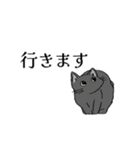 愛猫スタンプのプレゼント（個別スタンプ：15）