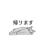 愛猫スタンプのプレゼント（個別スタンプ：16）