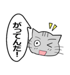 ひと言伝えるふきだしネコ 29（個別スタンプ：31）