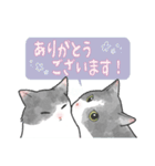 うちのしろくろねこ 2（個別スタンプ：2）