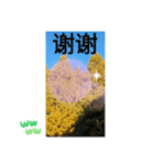 新北市台中市高雄市台北市桃園市の挨拶会話（個別スタンプ：3）