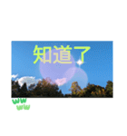 新北市台中市高雄市台北市桃園市の挨拶会話（個別スタンプ：8）