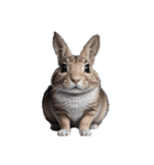 うさぎ rabbit.（個別スタンプ：1）