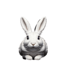 うさぎ rabbit.（個別スタンプ：5）