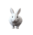 うさぎ rabbit.（個別スタンプ：8）