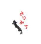 ぼくは、ジジwithジジィ（個別スタンプ：9）