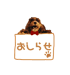 ぼくは、ジジwithジジィ（個別スタンプ：10）