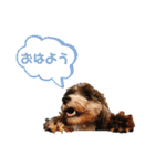 ぼくは、ジジwithジジィ（個別スタンプ：12）