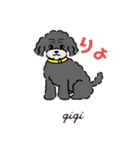 ぼくは、ジジwithジジィ（個別スタンプ：19）