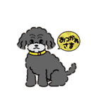 ぼくは、ジジwithジジィ（個別スタンプ：21）