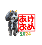 ぼくは、ジジwithジジィ（個別スタンプ：25）