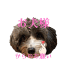 ぼくは、ジジwithジジィ（個別スタンプ：28）