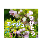 山野草で 日常のご挨拶（個別スタンプ：5）