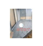 ぷにすた9 〜地球に迷い込んだぷにたち〜（個別スタンプ：10）