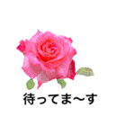 yasuおばさんの薔薇言葉R5-1（個別スタンプ：24）