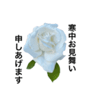 yasuおばさんの薔薇言葉R5-1（個別スタンプ：40）