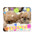 マルス family10（個別スタンプ：3）