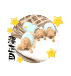 マルス family10（個別スタンプ：7）