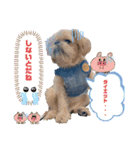 マルス family10（個別スタンプ：8）