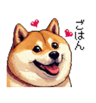 ドット絵 太っちょ柴犬 2 日常会話（個別スタンプ：1）