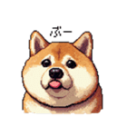 ドット絵 太っちょ柴犬 2 日常会話（個別スタンプ：2）