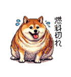 ドット絵 太っちょ柴犬 2 日常会話（個別スタンプ：5）