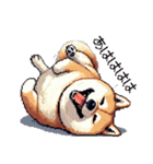 ドット絵 太っちょ柴犬 2 日常会話（個別スタンプ：6）