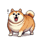 ドット絵 太っちょ柴犬 2 日常会話（個別スタンプ：8）