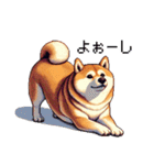 ドット絵 太っちょ柴犬 2 日常会話（個別スタンプ：11）