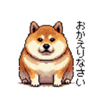 ドット絵 太っちょ柴犬 2 日常会話（個別スタンプ：13）