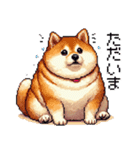 ドット絵 太っちょ柴犬 2 日常会話（個別スタンプ：14）